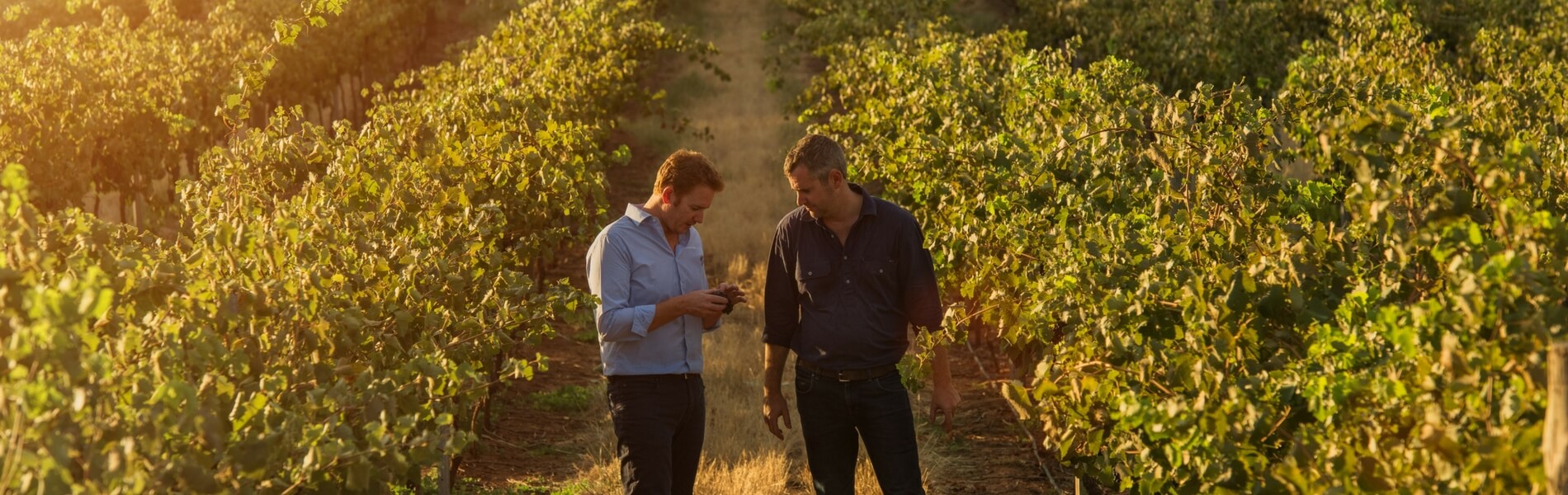 Ben Bryant, Chief Winemaker at Jacob's Creek